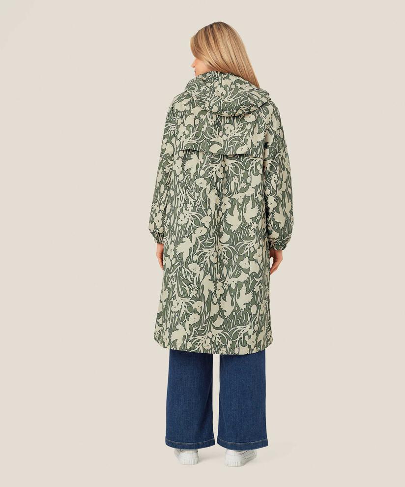 Trina Regnkappa, D. Lichen Green